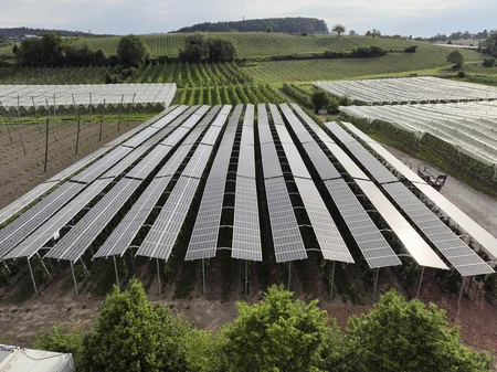 2022_05_13_Agri-PV-Kressbronn_ISE_046-min