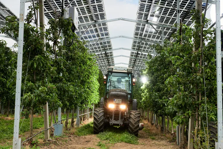 2022_05_13_Agri-PV-Kressbronn_ISE_007