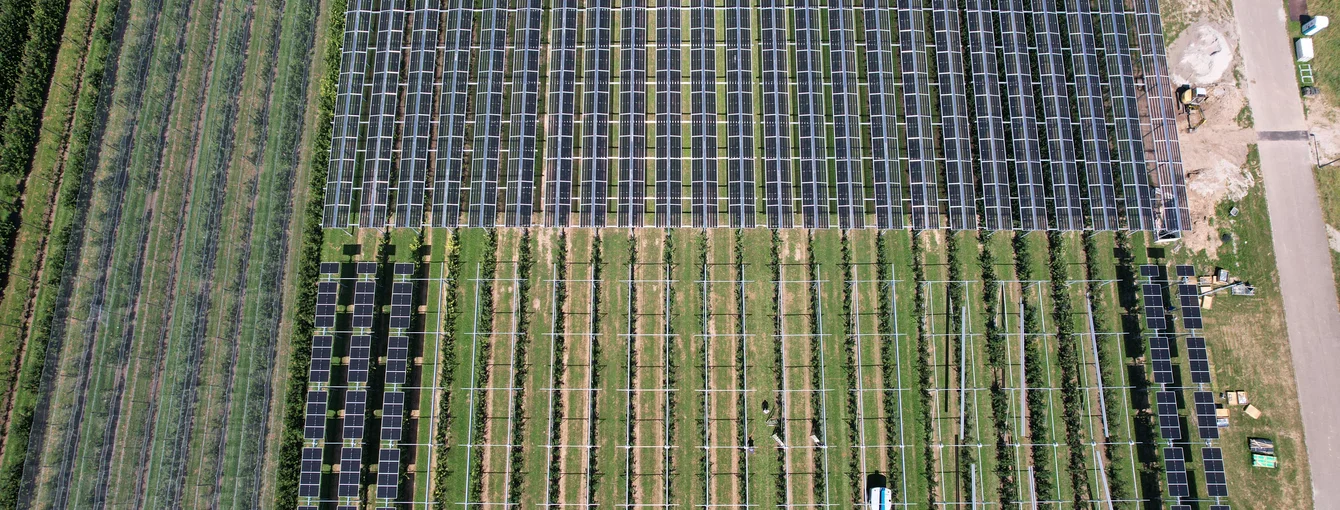 APV_2024.07.29_a_Constanze Mesca_LTZ