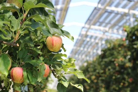 Bernhard_IMG_5651_©_Fraunhofer_ISE_©_Fraunhofer_ISE