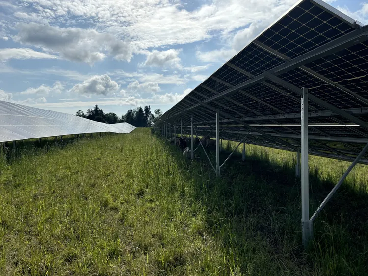 FreiflächenPV_Aulendorf