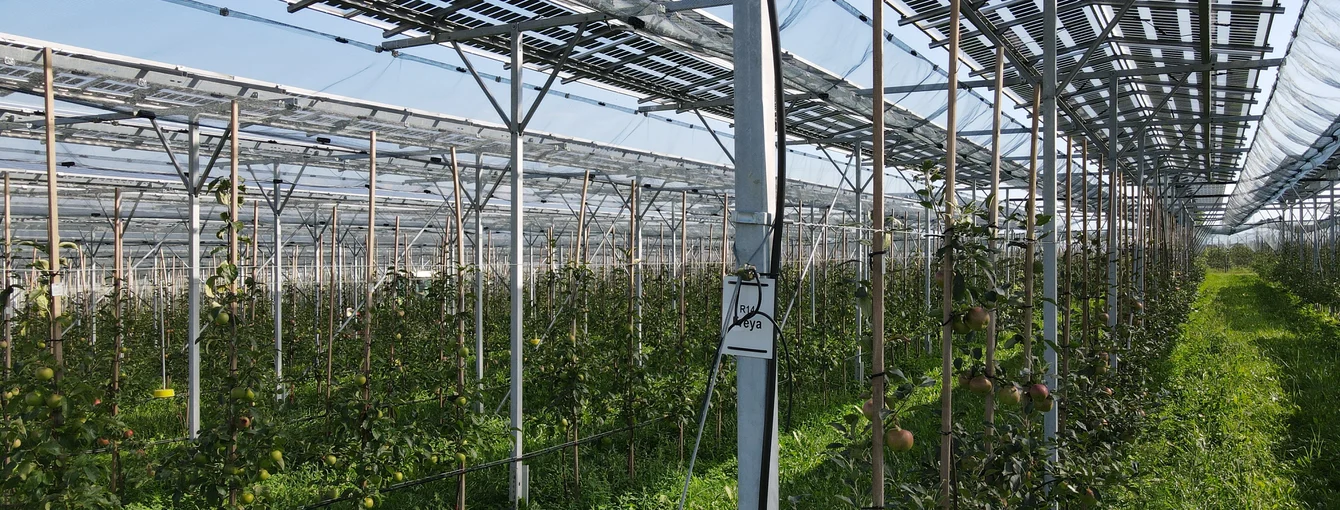 KOB_DJI_0204_©_Fraunhofer_ISE