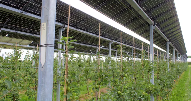 Nussbach_Vollmer_Agri-PV